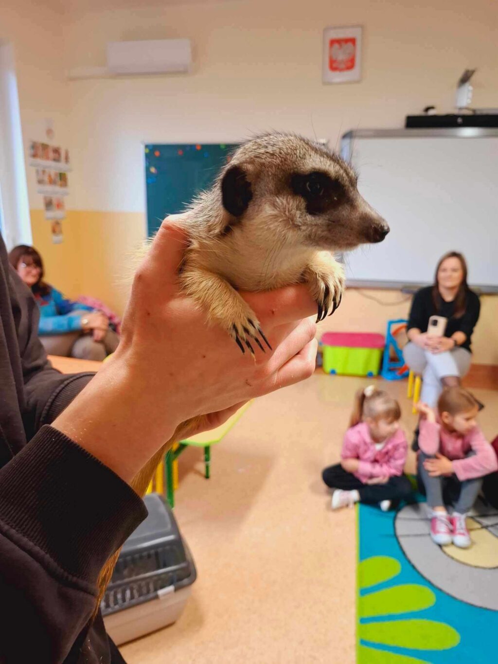 - KOSEM - Stowarzyszenie Kulturalno-Oświatowe